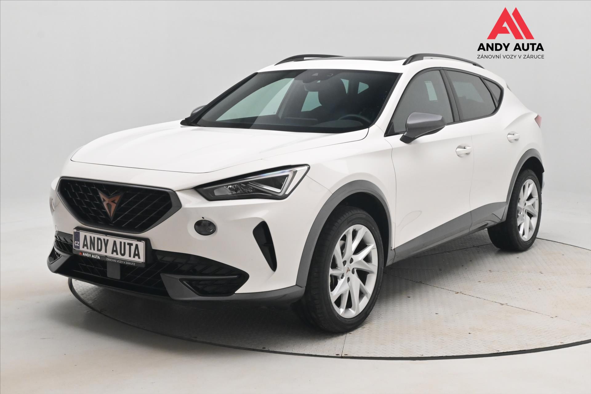 Cupra Formentor 2,0 TDI 110kW DSG 4x4 Záruka až 5 let