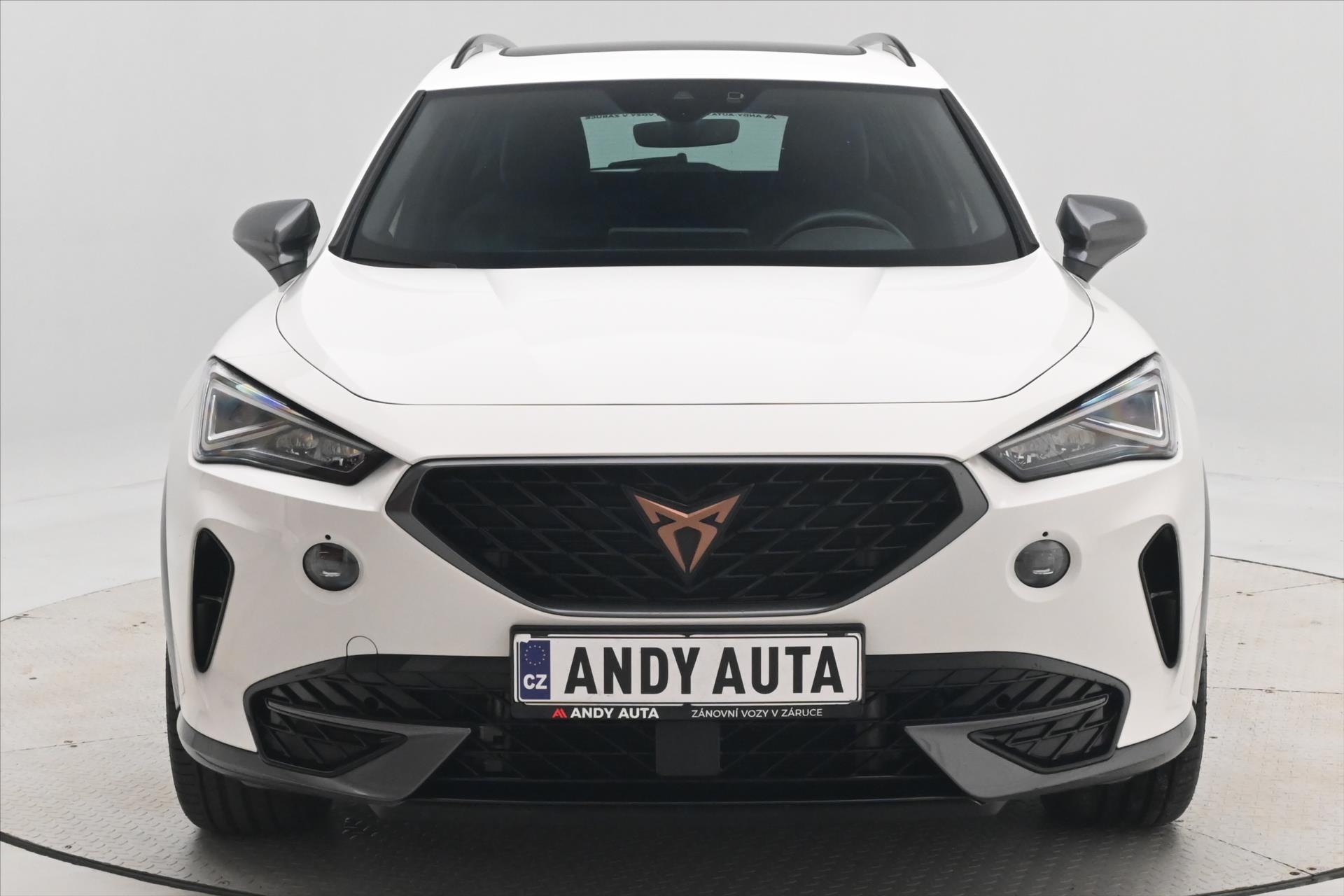 Hlavní fotografie vozu Cupra Formentor 2,0 TDI 110kW DSG 4x4 Záruka až 5 let (3)